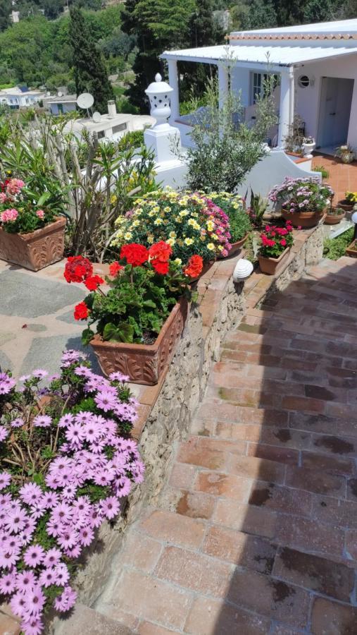 B&B Villa Cristina Anacapri  Dış mekan fotoğraf